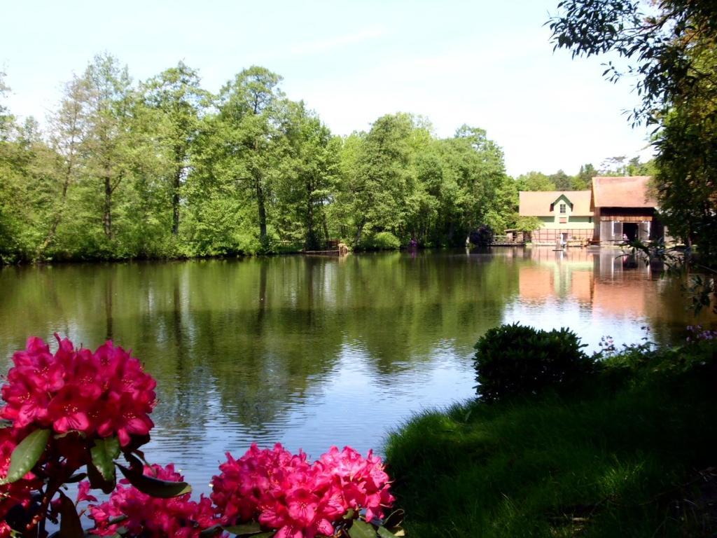 Hotel Hof Sudermuehlen Egestorf Eksteriør billede